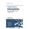 Tangible Guide to Intangibles